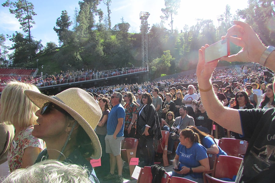 P-22: A Celebration of Life event