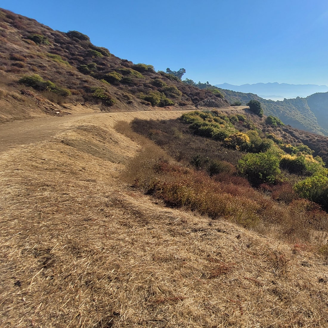 15U-Out-and-Back-Fire-Road