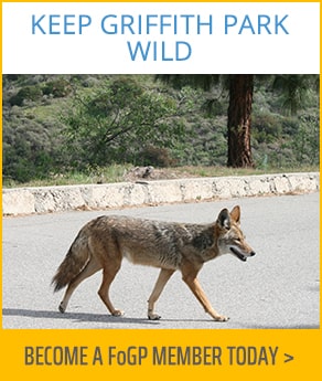 Keep Griffith Park Wild