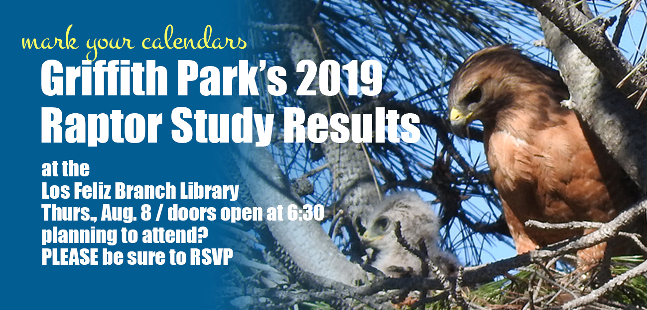 Summer Science Series: GP Raptor Study Results