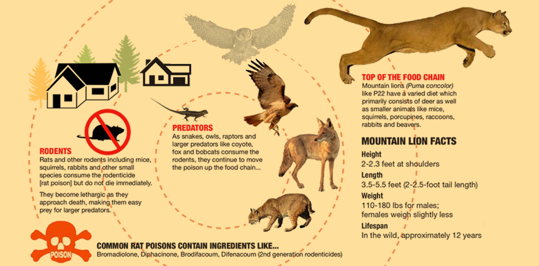 Let’s eliminate the poisons that are KILLING OUR WILDLIFE!