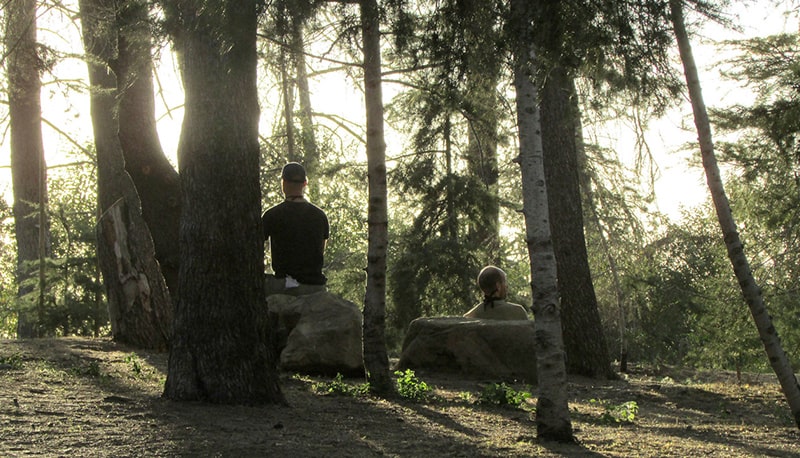 CEDARGROVE CEDARGROVE