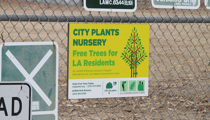 COMMONWEALTH-NURSERY COMMONWEALTH-NURSERY