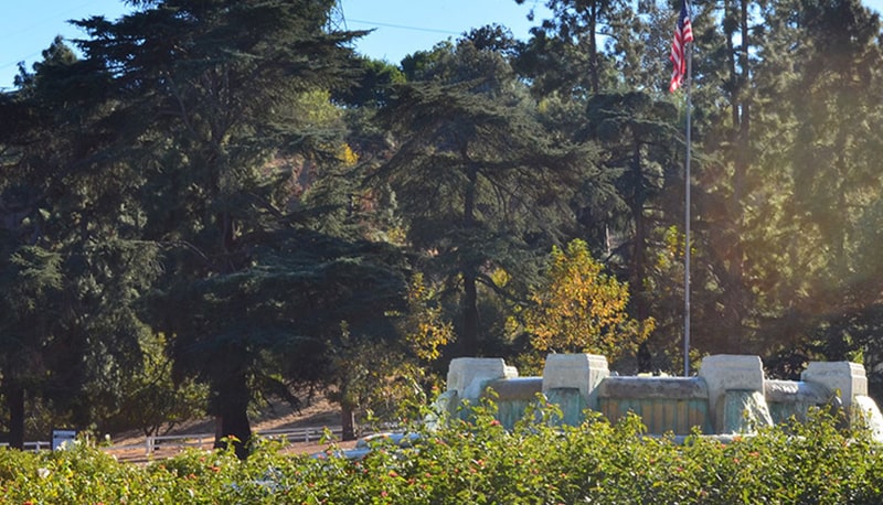 Wiliam-Mulholland Wiliam-Mulholland