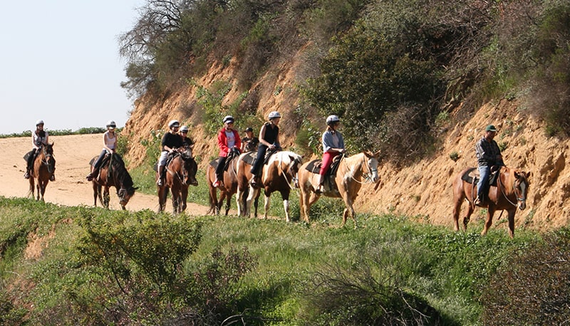 Horse-Stables Horse-Stables