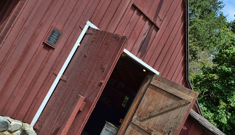 DISNEY-BARN DISNEY-BARN