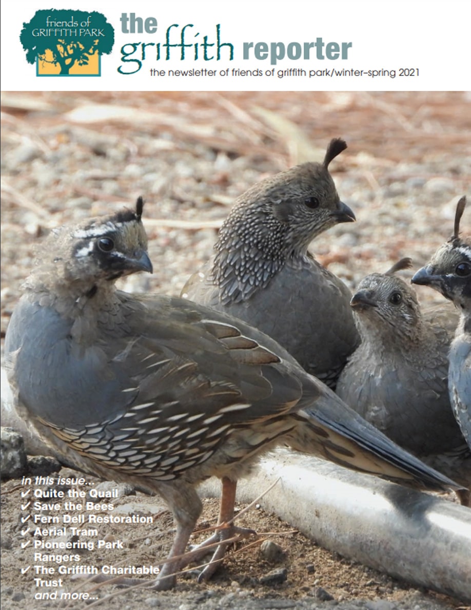 Griffith Reporter Winter/Spring 2020-21