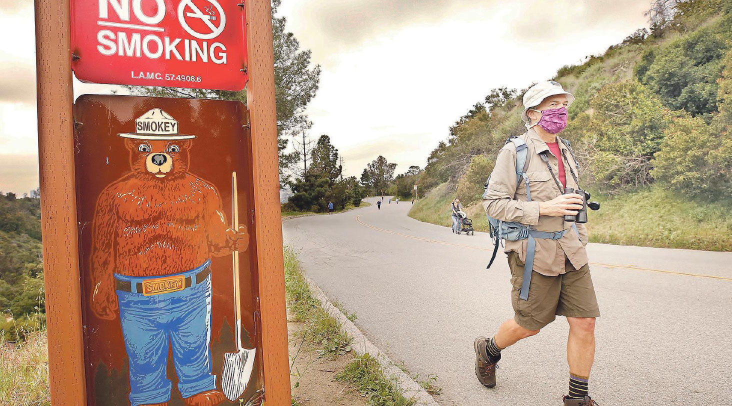 Wildlife is coming out to play while the humans are staying away