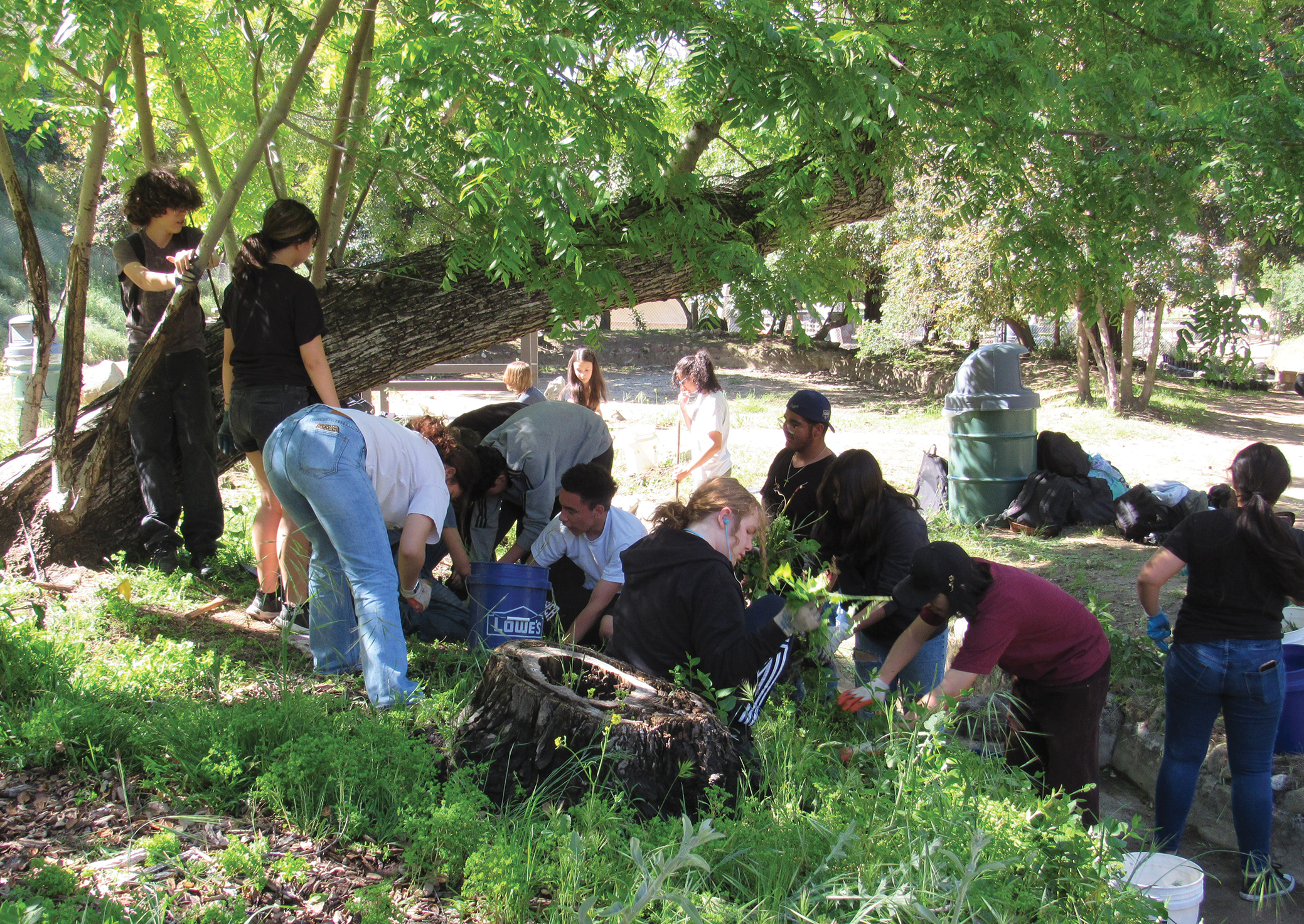 Earth Day Planting Comes Off Without a Hitch