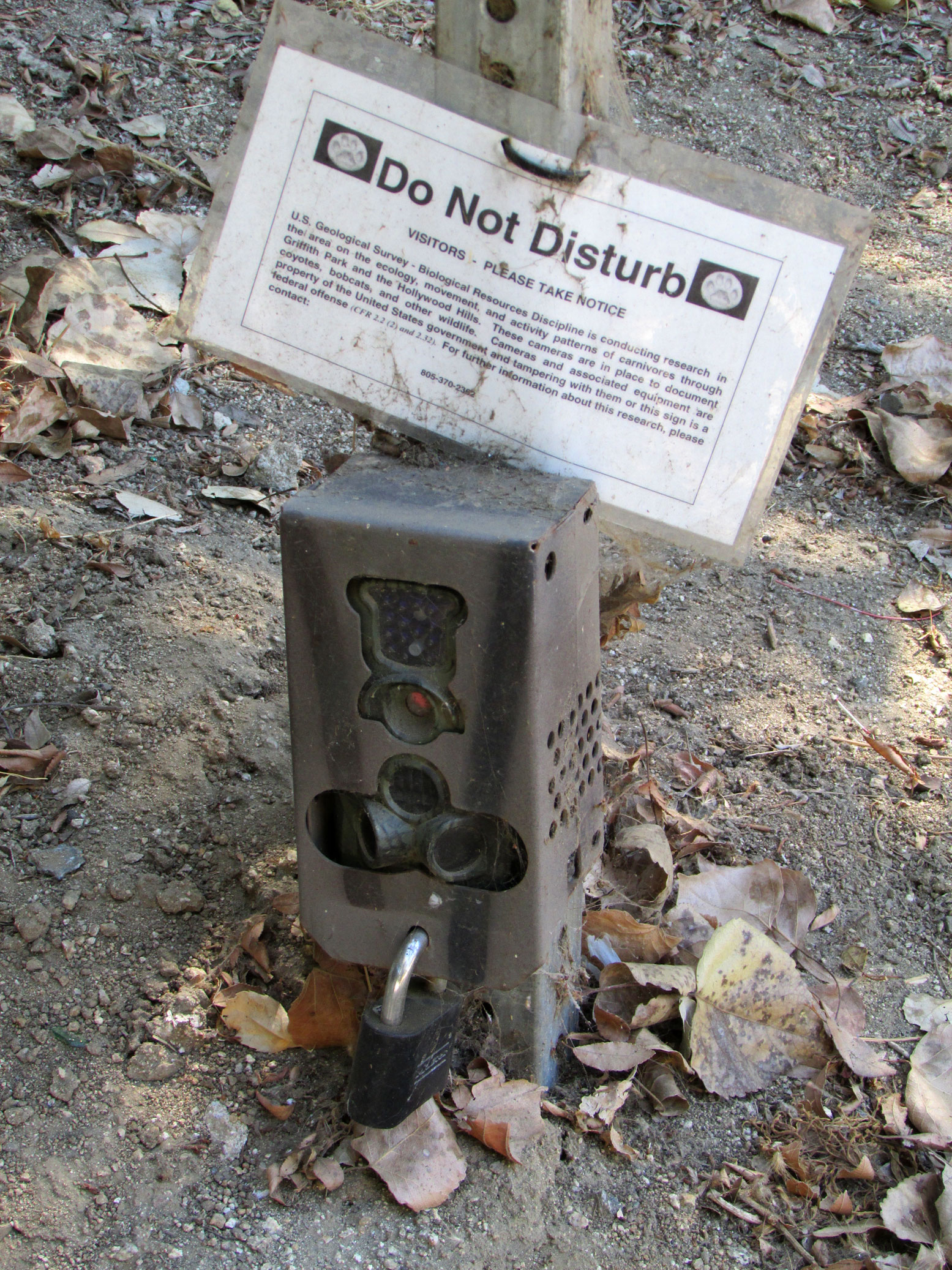 Highlights of Year 2013