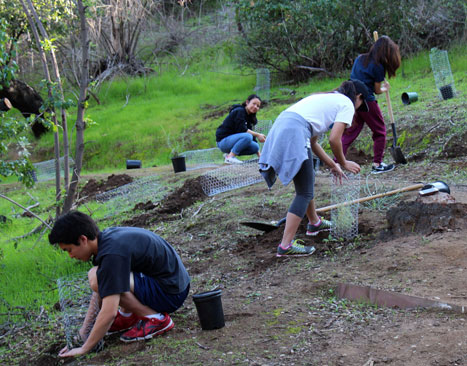 Volunteer Service Projects