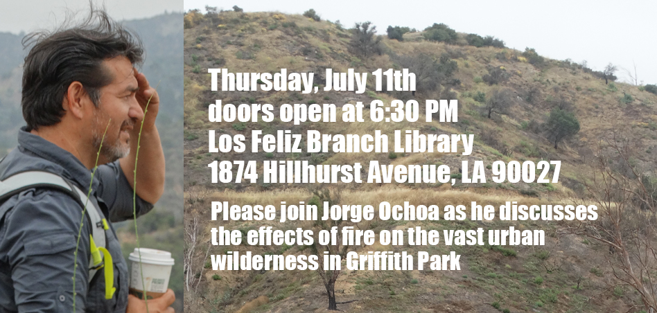 Jorge Ochoa at the Los Feliz Branch Library