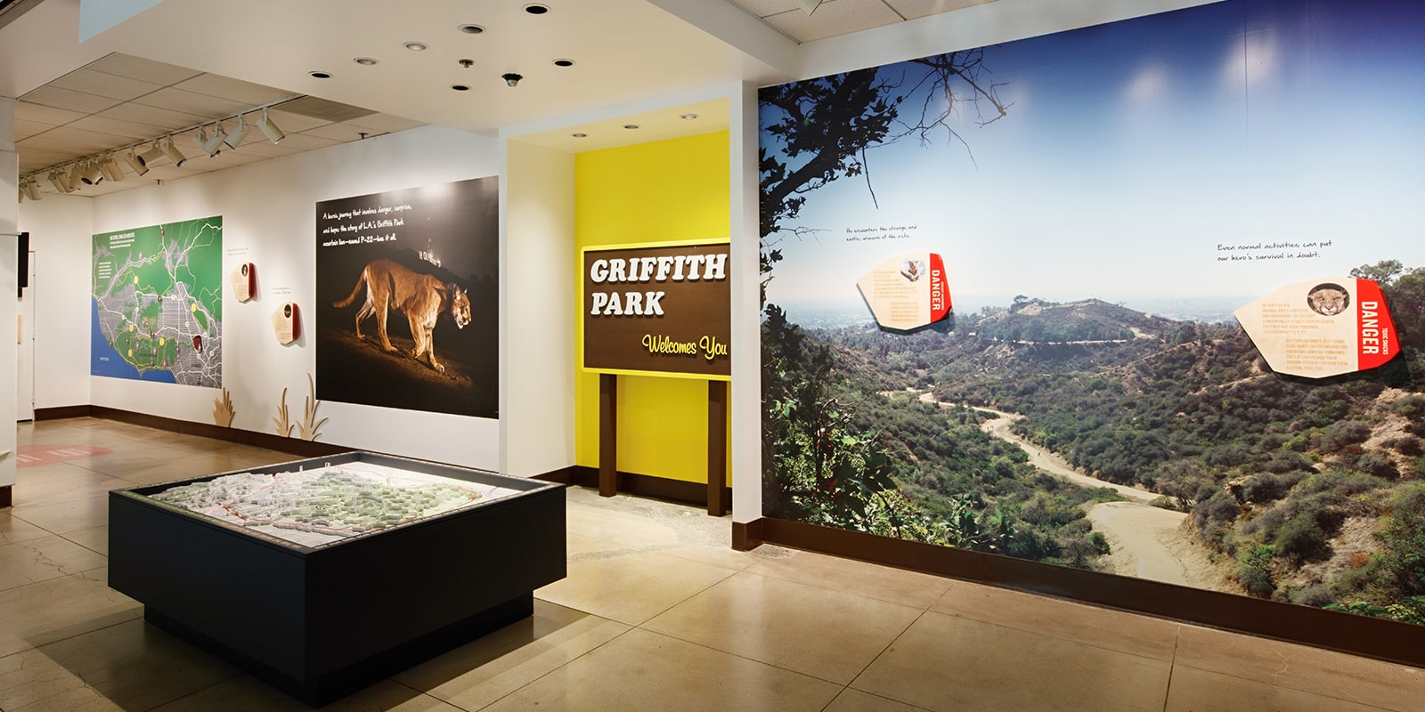 P22_Natural_History_Museum-Exhibit P22_Natural_History_Museum-Exhibit