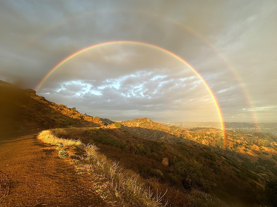 Reddit-Max-doublerainbow Reddit-Max-doublerainbow Image credit: Max Levine (11/29/23)