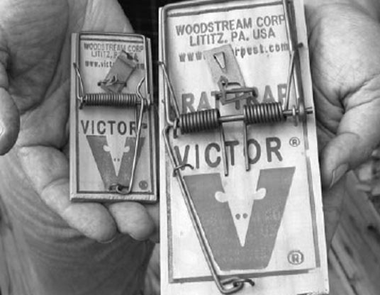 Preventing a “Silent Spring’