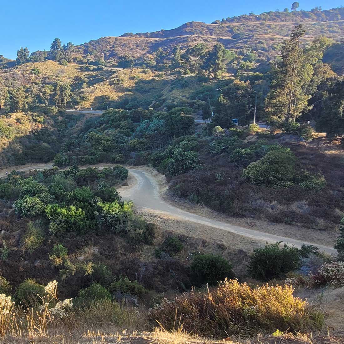 10B-Winding-West-Trail