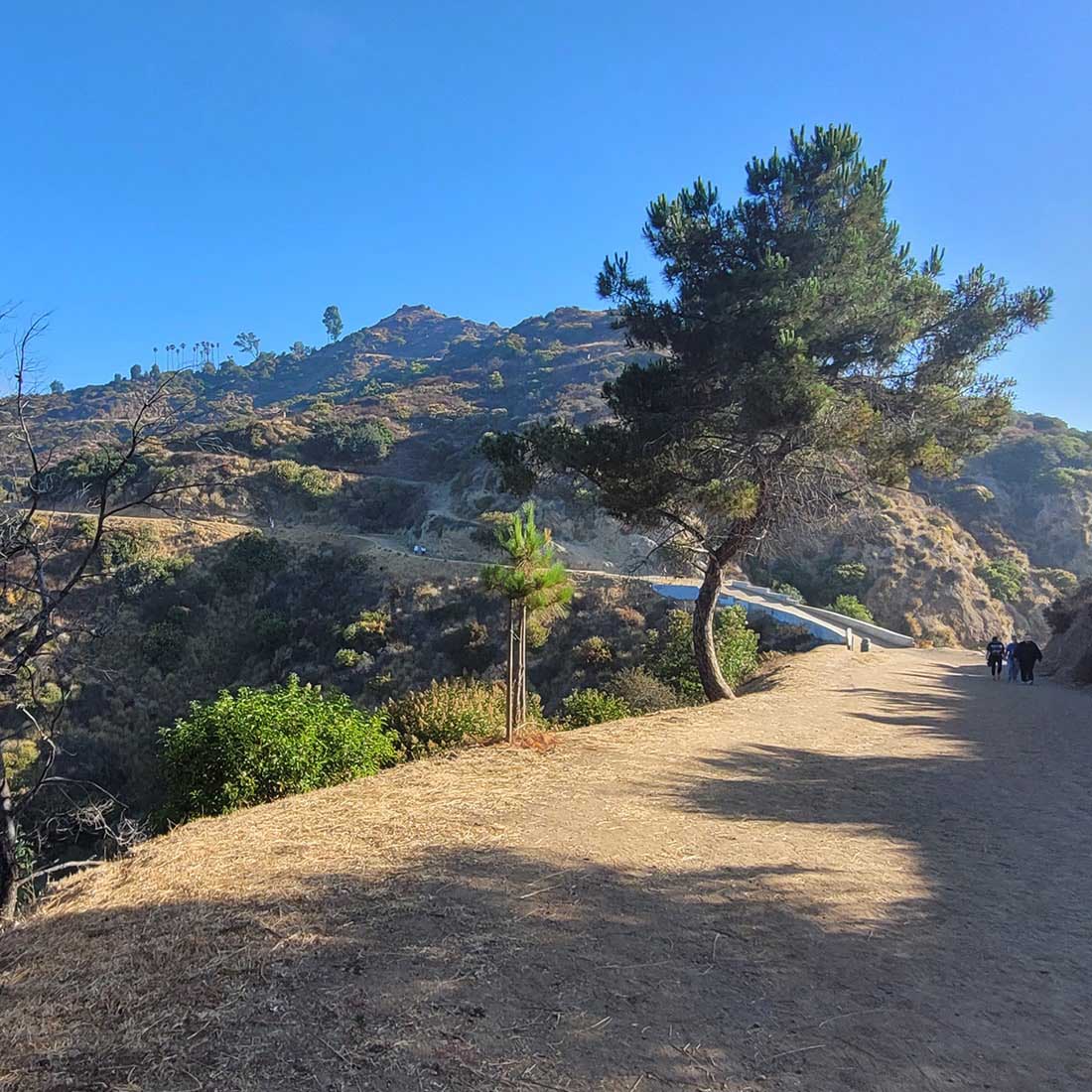 10I-Mt-Hollywood-Captains-Roost