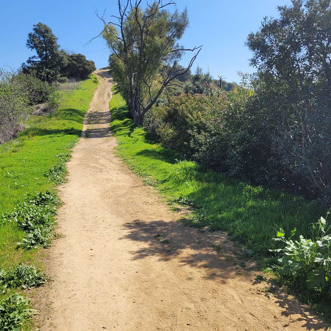 11J-Beacon-Hill-Climb