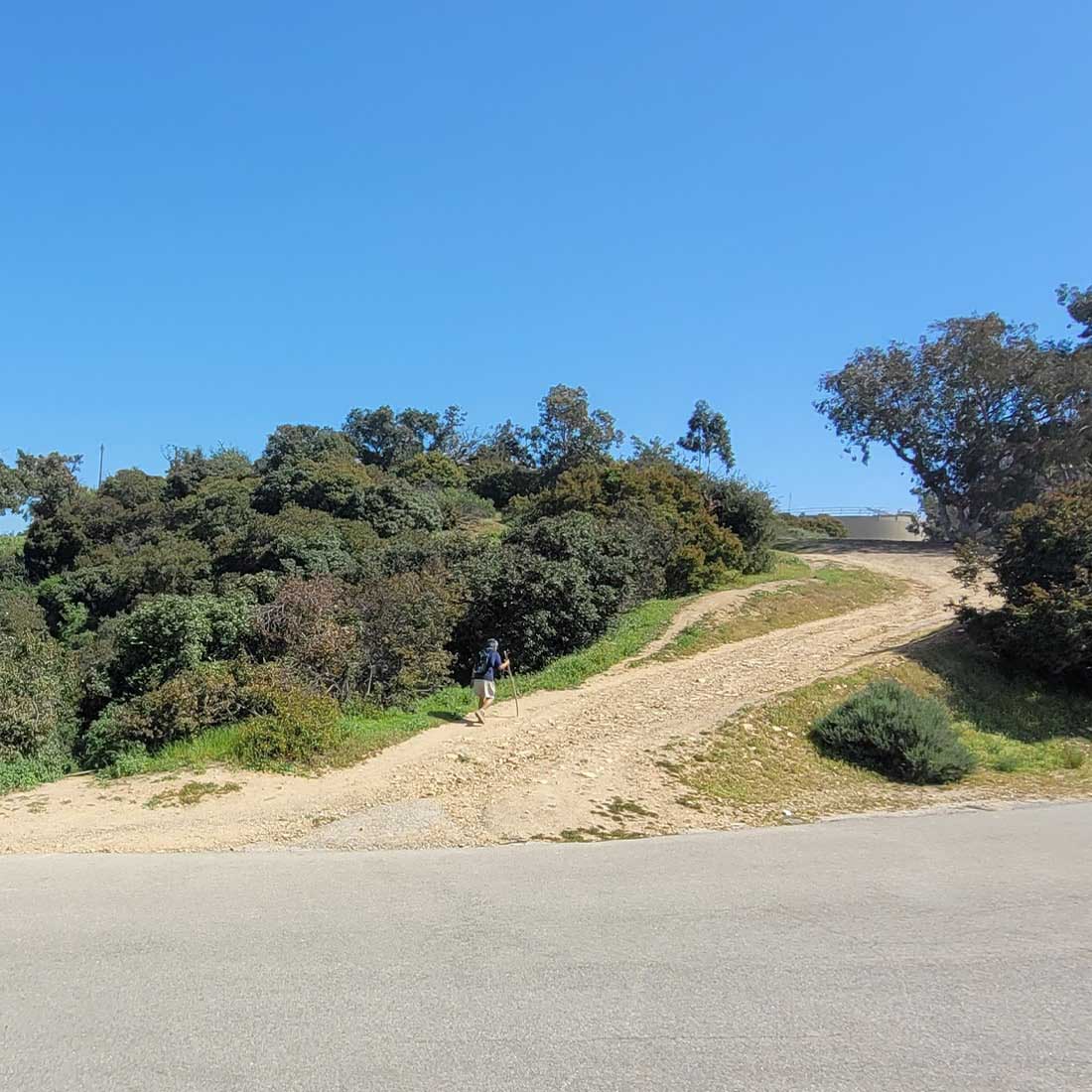 11P-Trail-Back-to-5-Points