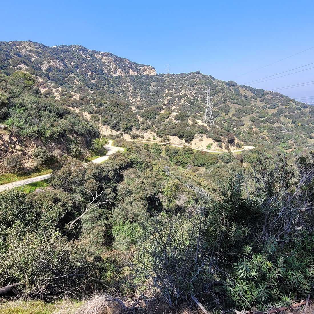 11S-Fern-Canyon-Vista