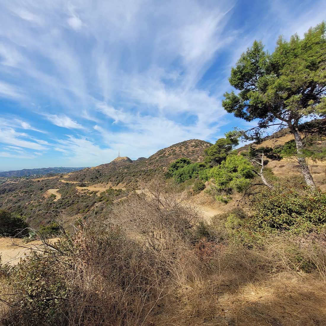 12Q-Mulholland-Trail-West