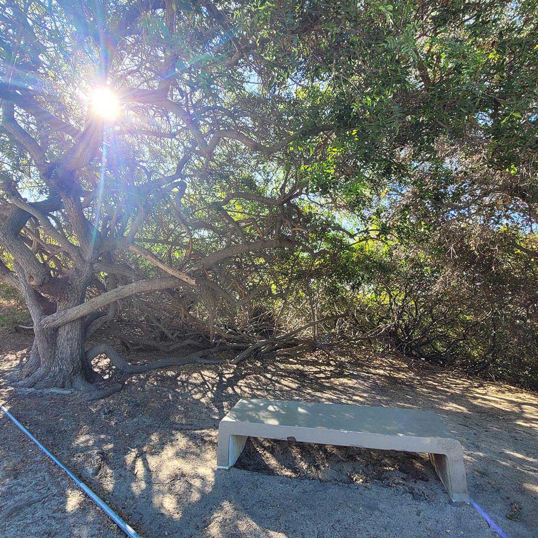 map-hike5-D 14D-Bench-at-Vista-del-Valle