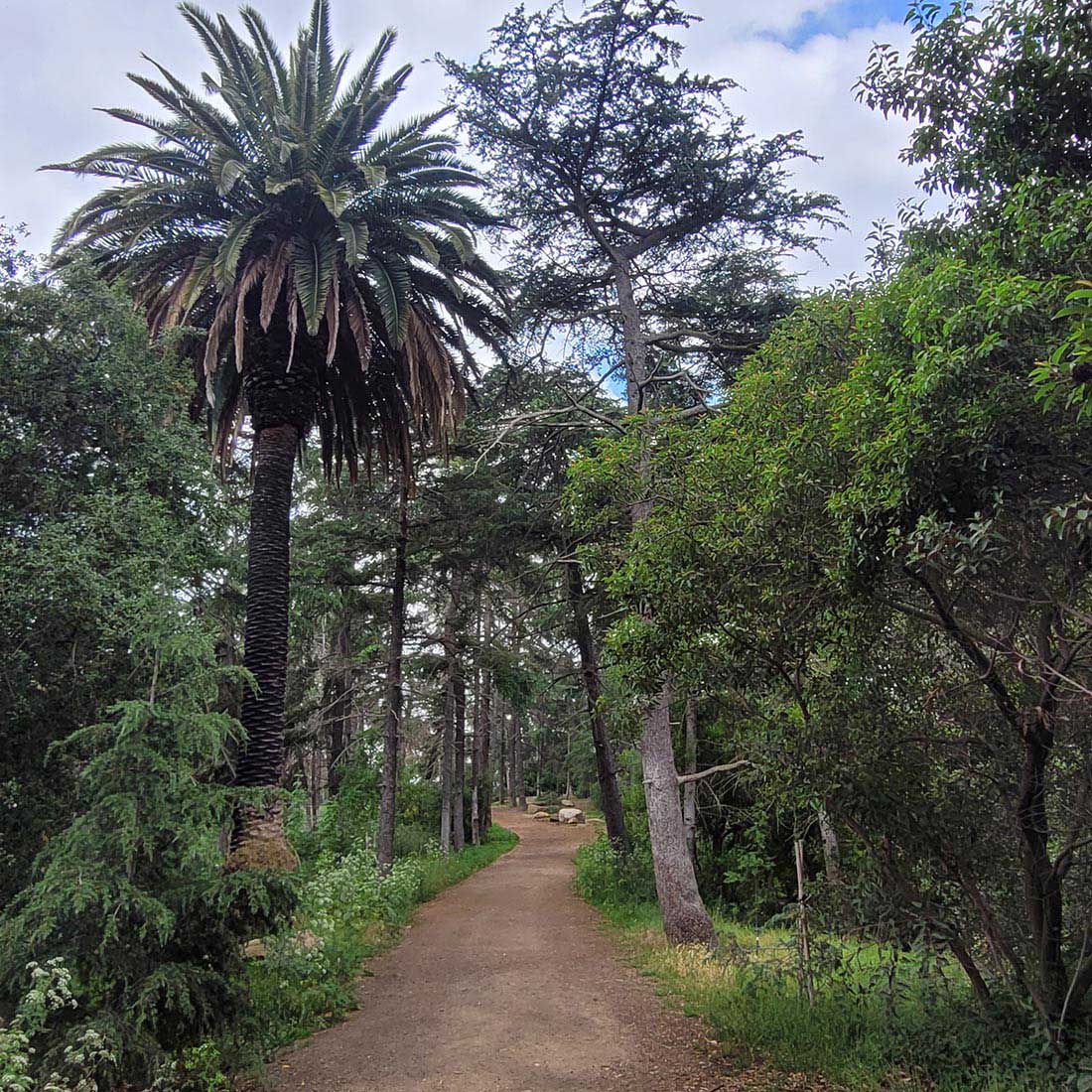 14G-Cedar-Grove-Entrance