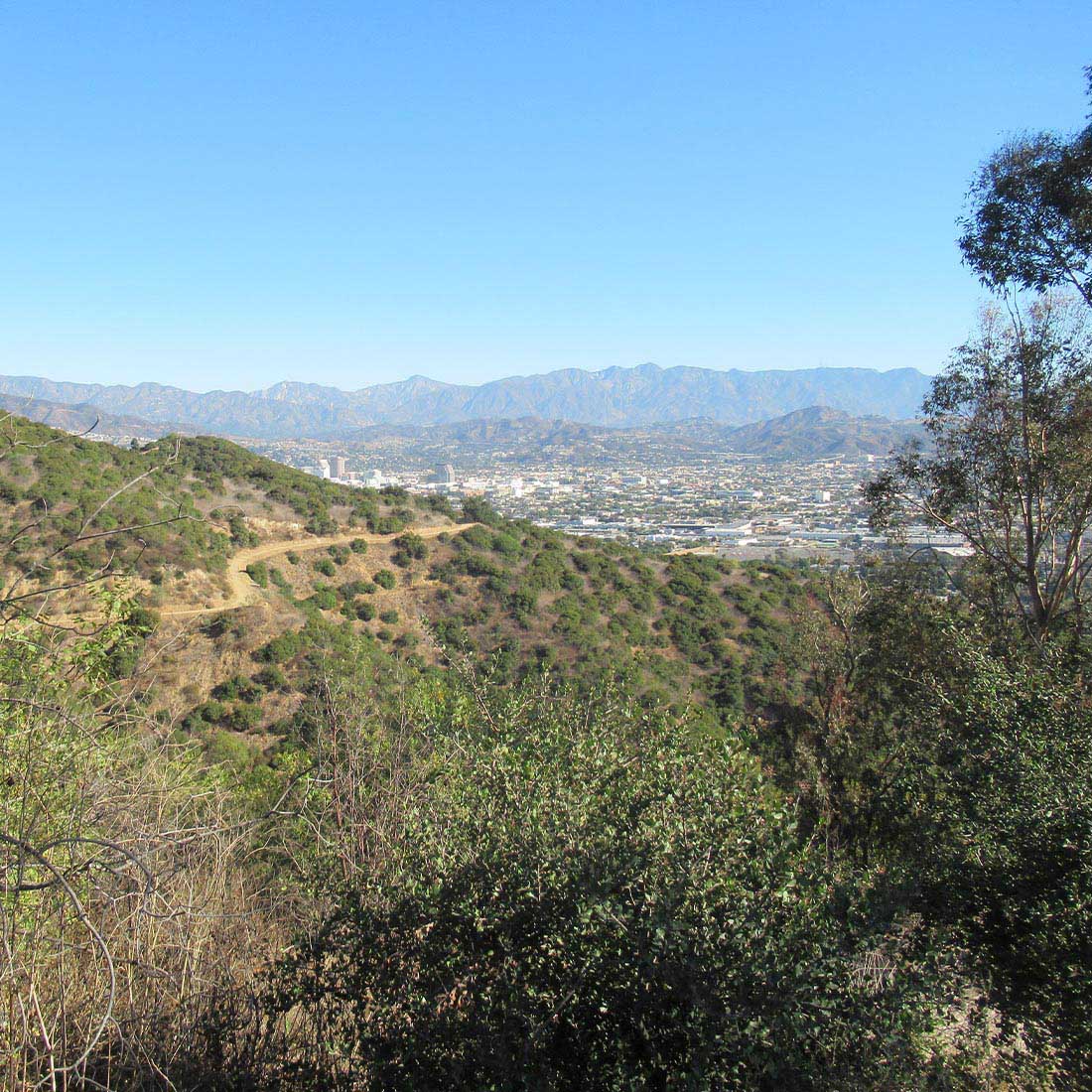 map-hike5-D 14I-Coolidge-Trail-View