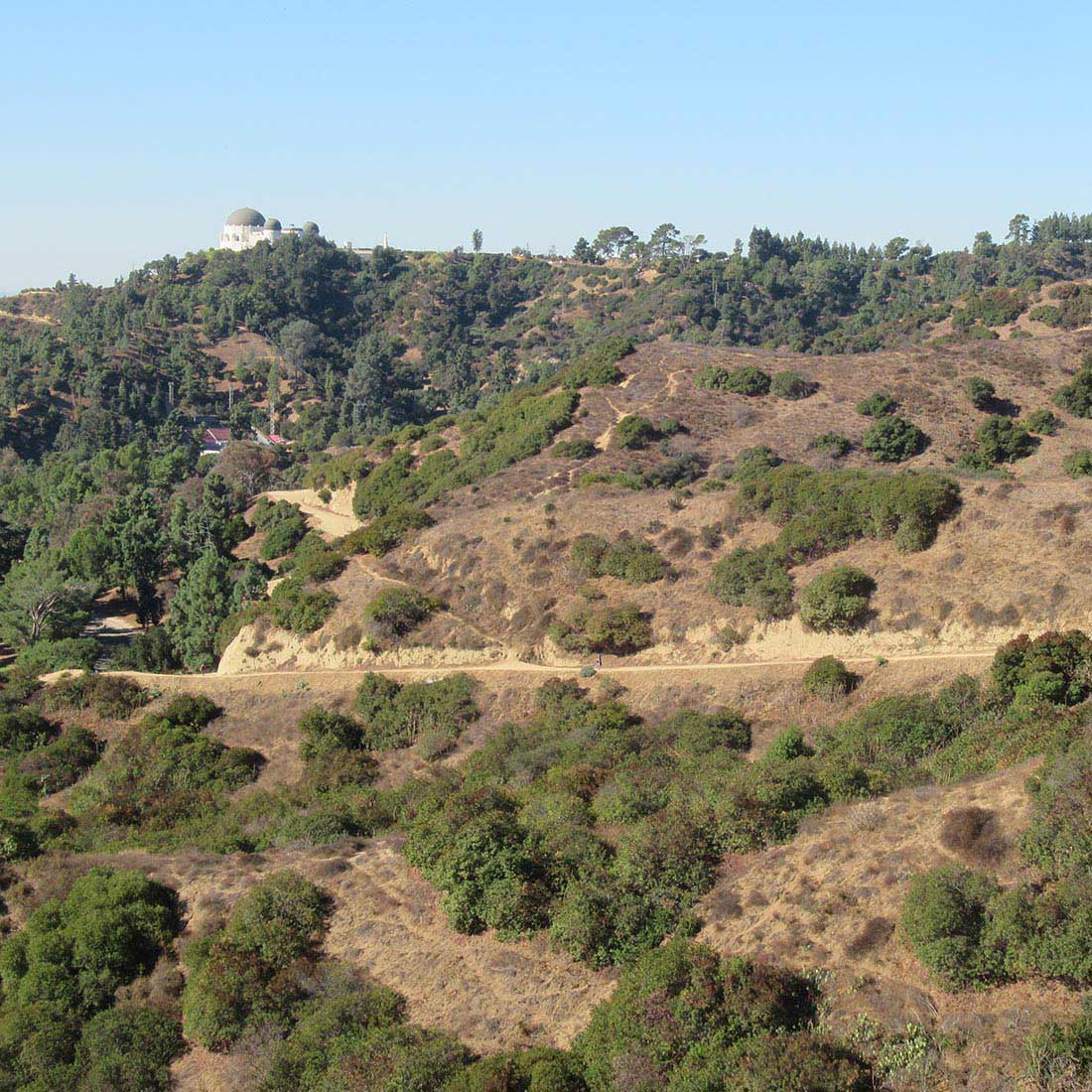 14L-Observatory-from-Vista-View