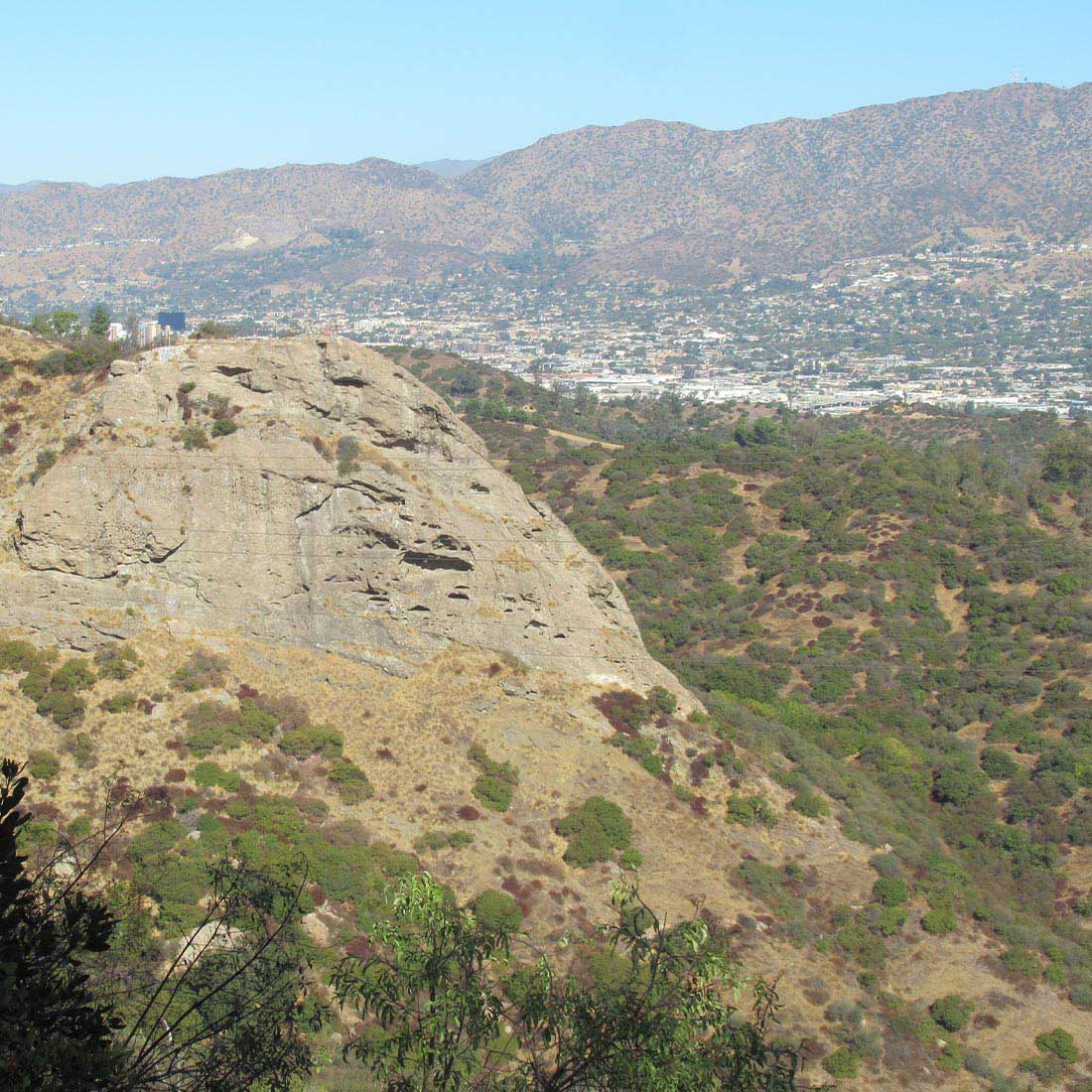 14N-Bee-Rock-Side-Profile