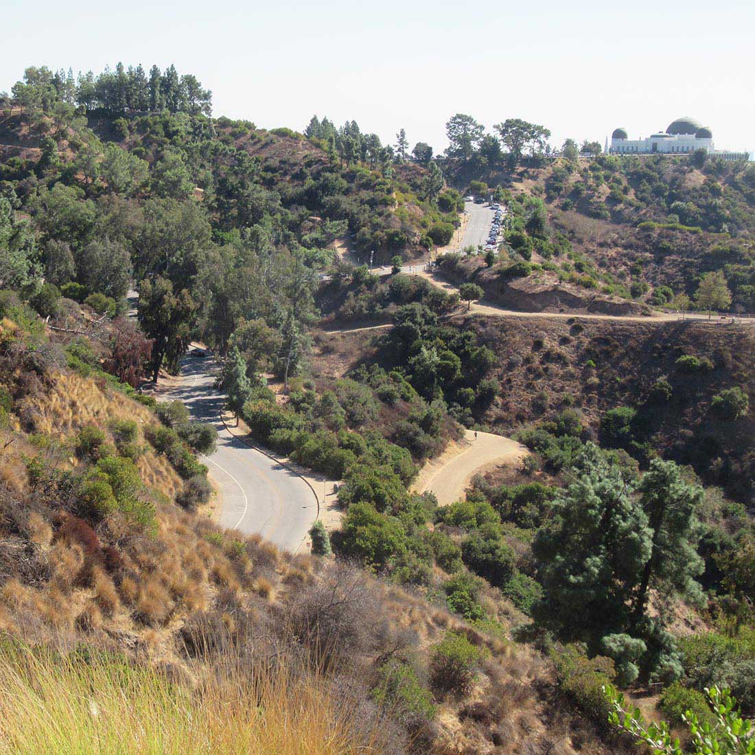 14S.-Observatory-Berlin-Forest