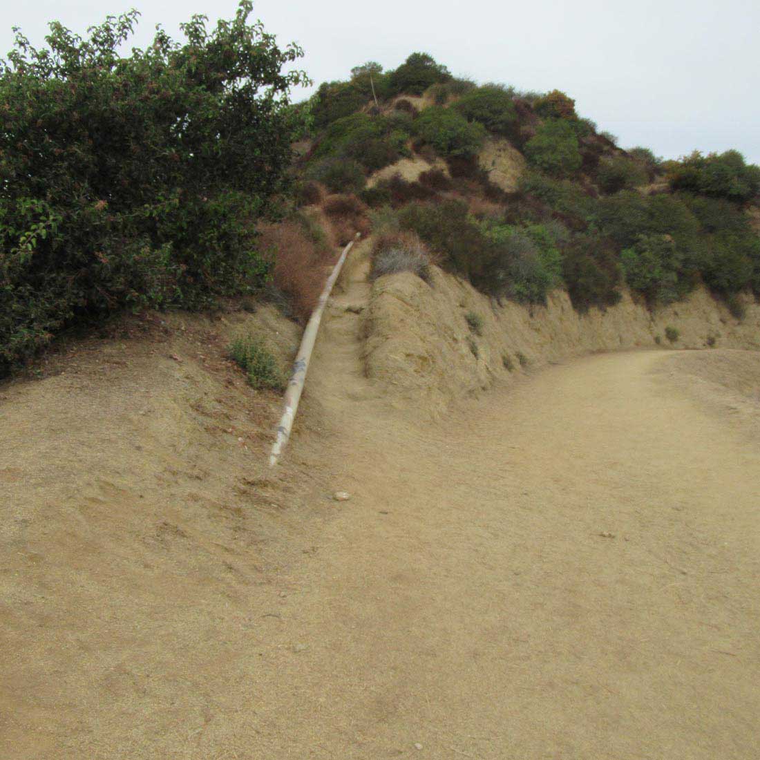 15K-Left-Trail-toward-Taco-Peak