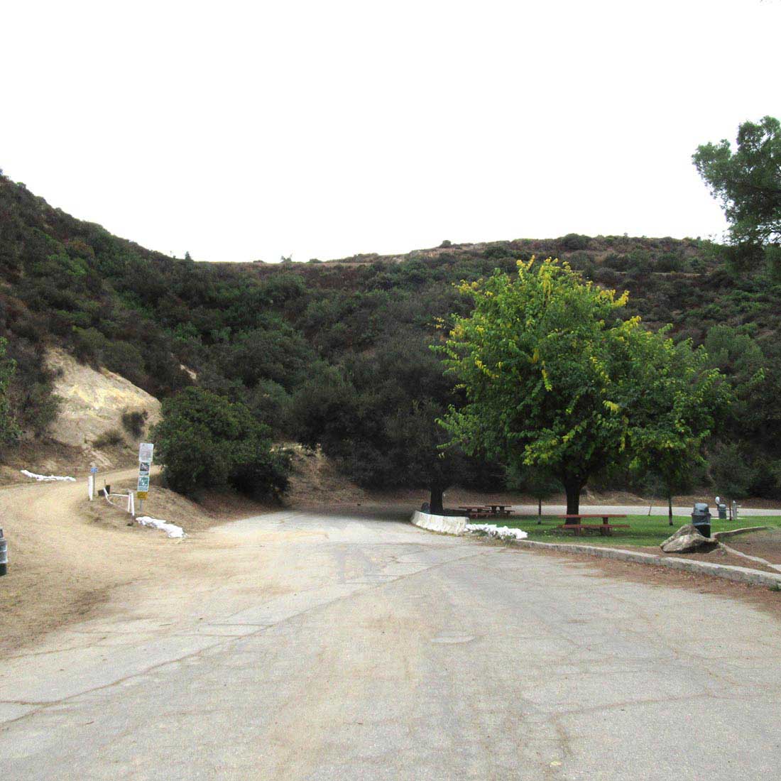 15O-3-Mile-Tree-and-Trail