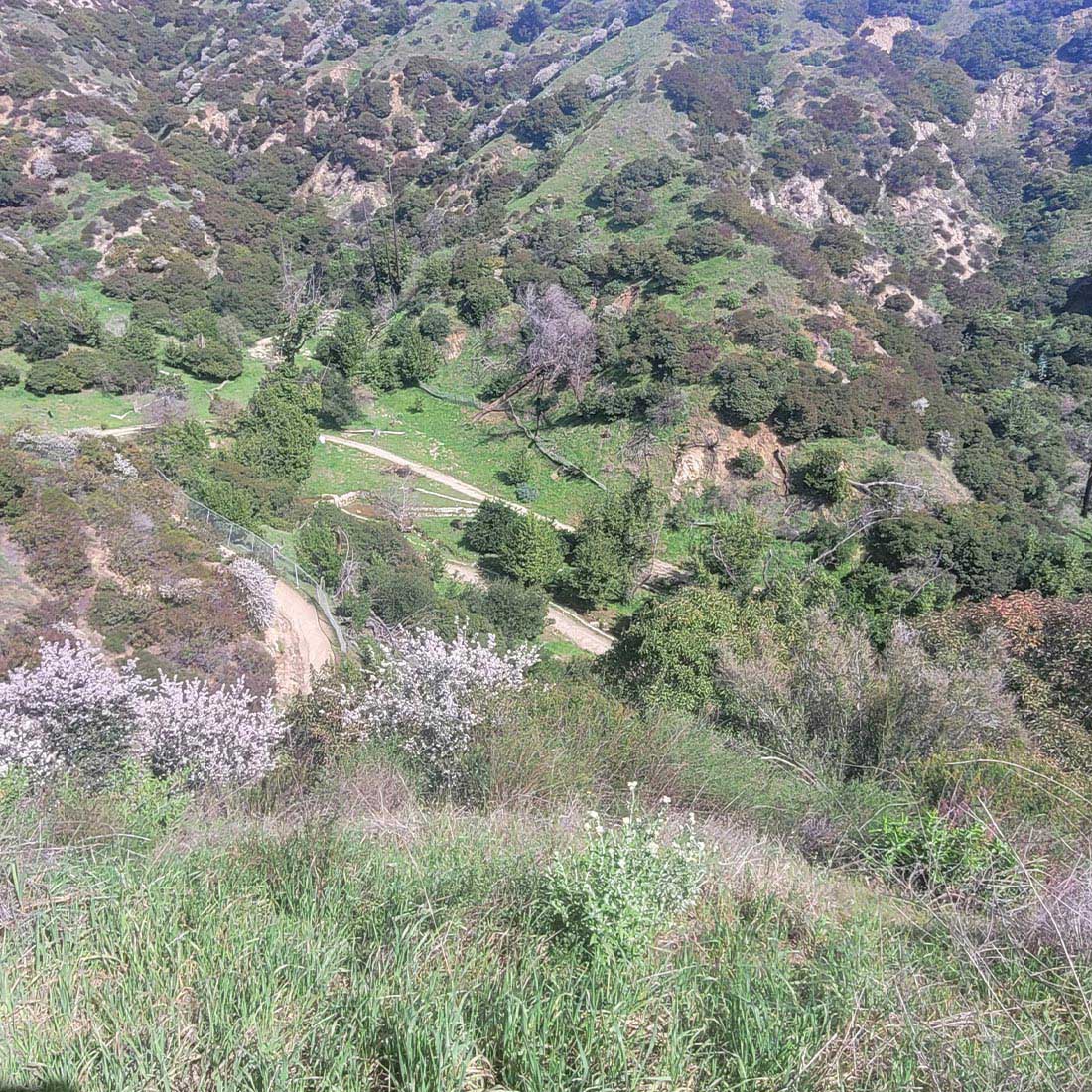 15Y-Bird-Sanctuary-from-Above