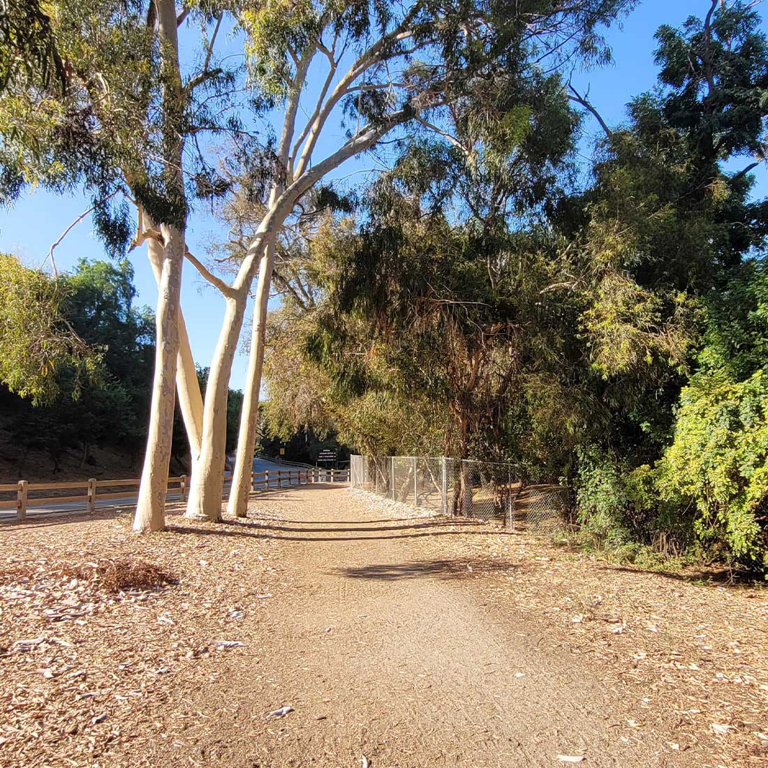 map-hike5-D 3A-Wide-dirt-Main-Trail
