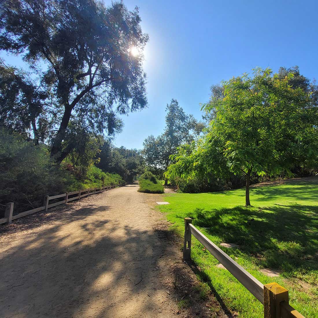 4I-Pecan-Grove-Picnic-Area