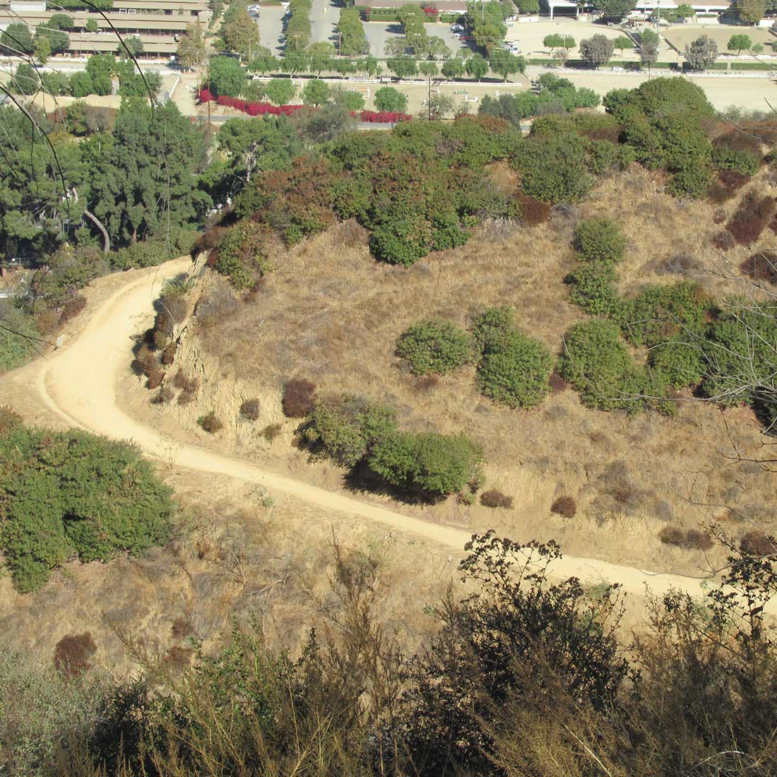 5T-Skyline-Fire-Road