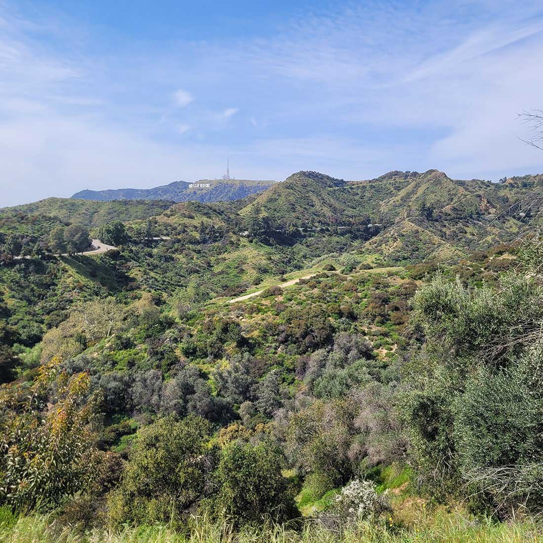 6L-Hollywood-Sign-in-Distance