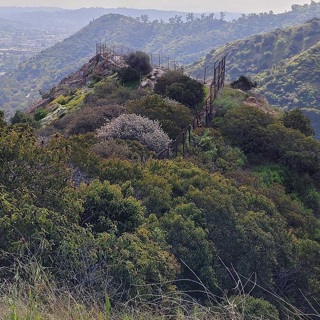map-hike5-D 7E-Bee-Rock-Viewpoint