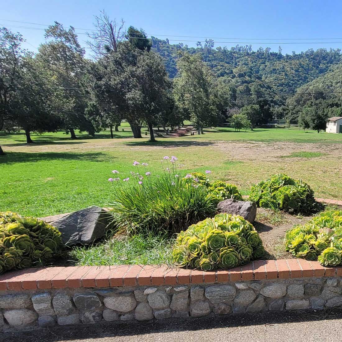 7T-Centennial-Garden