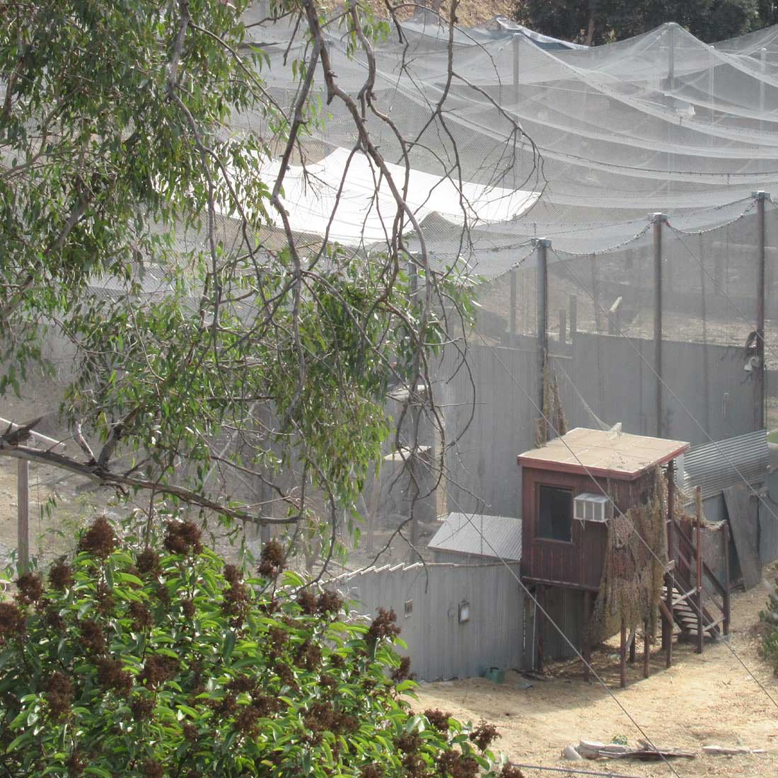 8Q-Condor-Enclosures