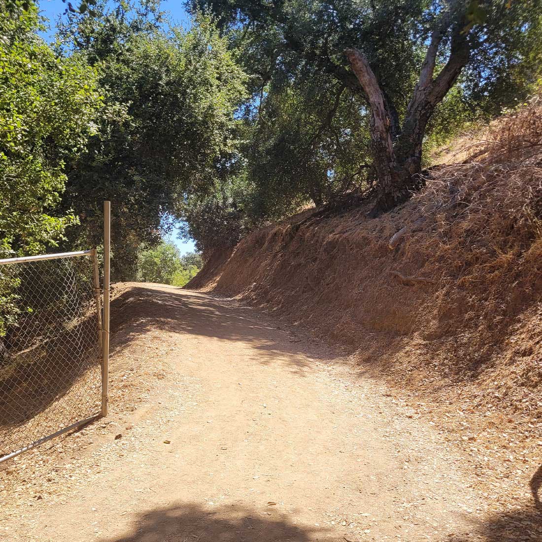 8T-Mineral-Wells-Trail