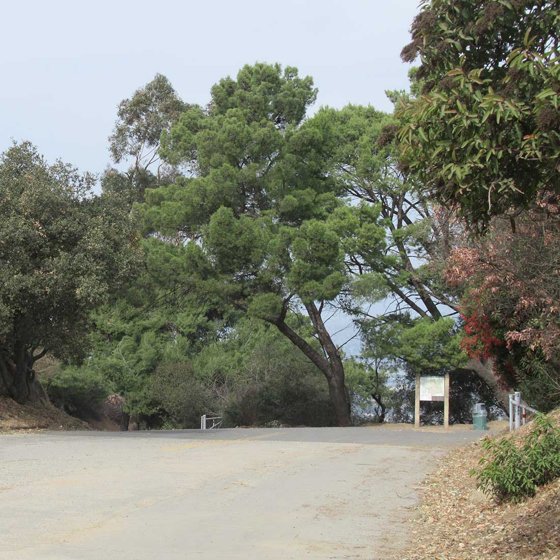 map-hike5-D 9J-Toward-Mt-Hollywood-Dr