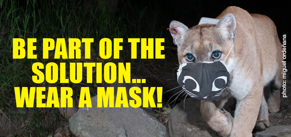 Important information: PARK OPENINGS