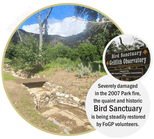 Griffith Park Explorer: Bird Sanctuary