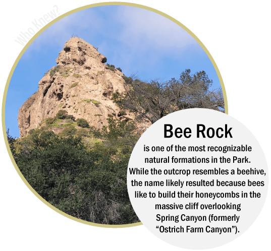Griffith Park Explorer: Bee Rock