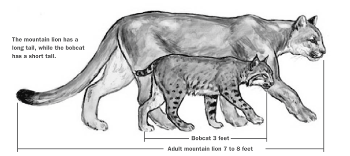 Screen shot 2014-12-29 at 4.28.42 PM