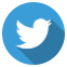 Twitter Icon